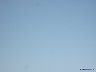 lle del Simeto-24-02-2013 08-51-41